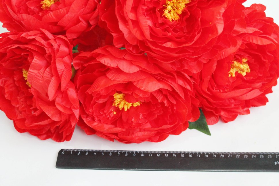 Б11906 Б/С Куст крупных пионов