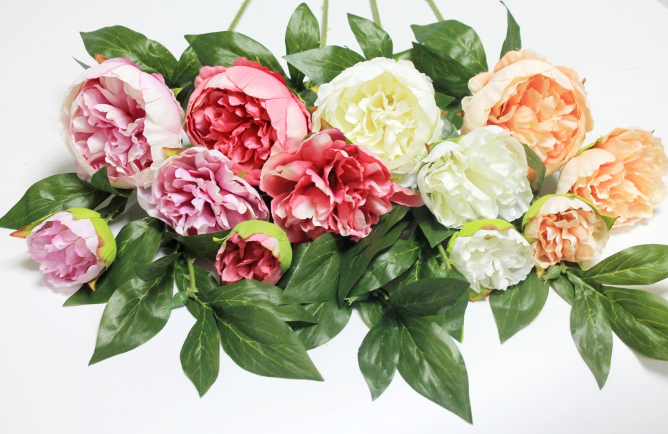 В11619 Б/С Ветка пиона 3 гол.