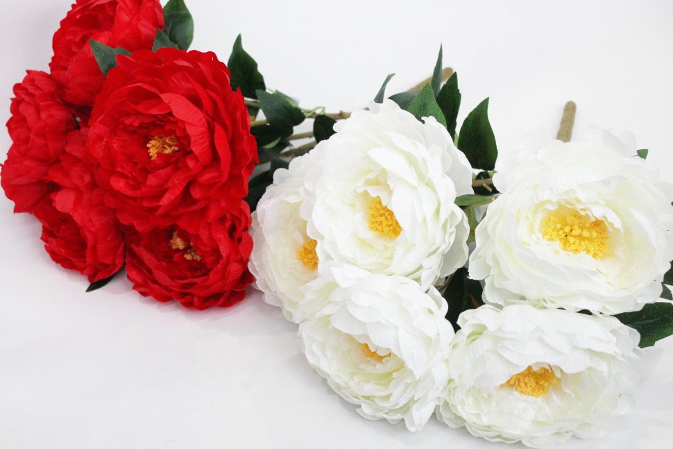 Б11906 Б/С Куст крупных пионов