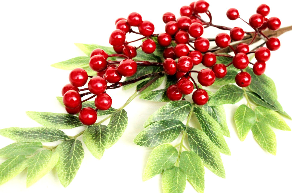 В11159 Б/С Вет.вишни урожайная Н78см(2шт)