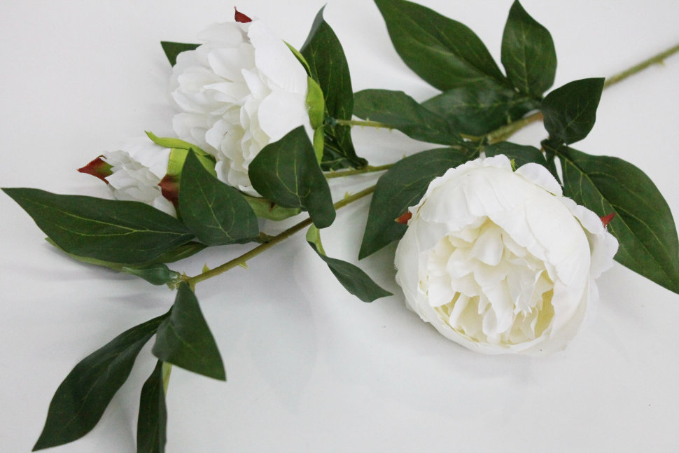 В11619 Б/С Ветка пиона 3 гол.