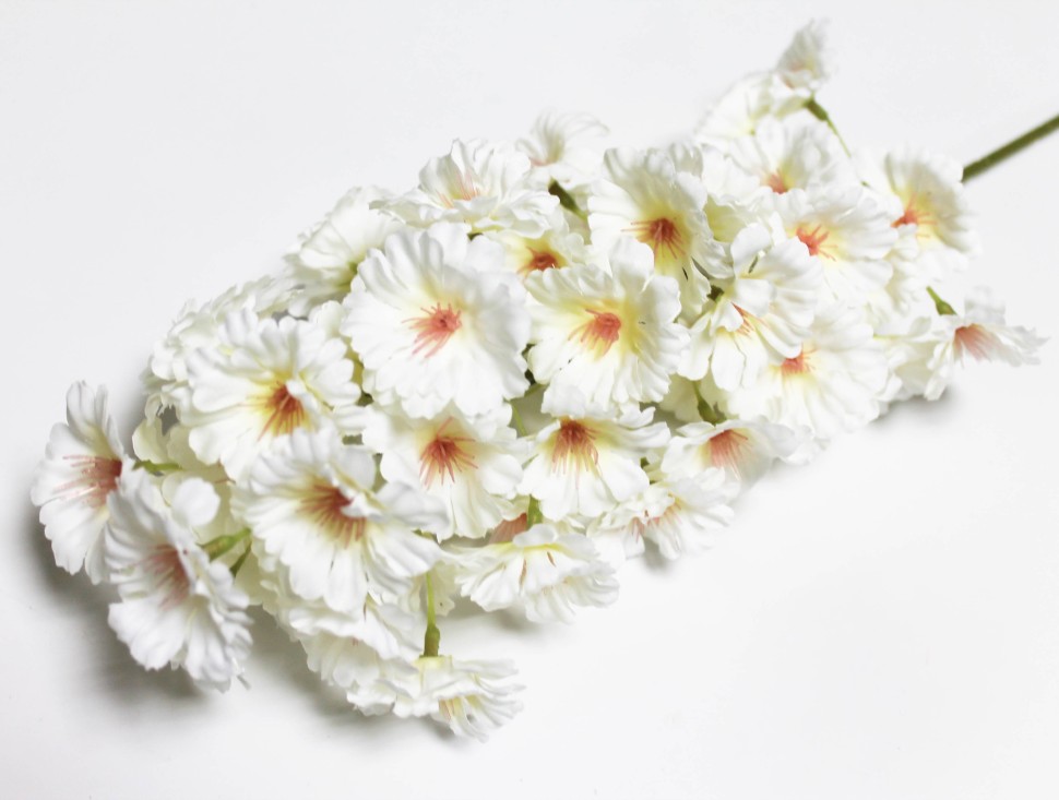 В12127 Б/С Дельфиниум