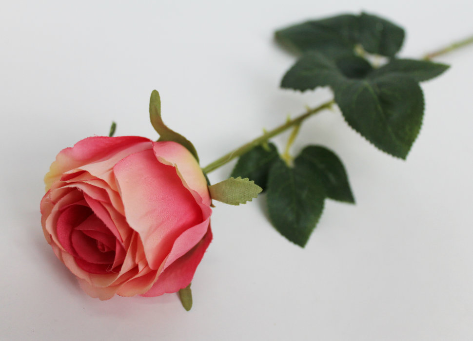 О11496 Роза одиночная многосл.