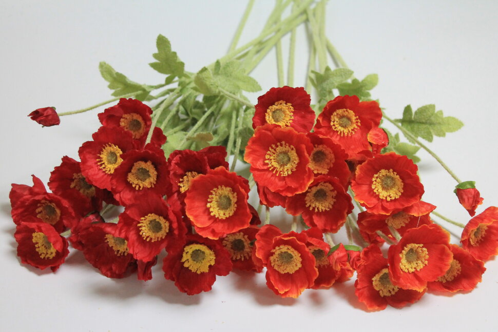 В12041 Б/С Вет.Мак полевой 3гол.+1бут.H62см(10шт)