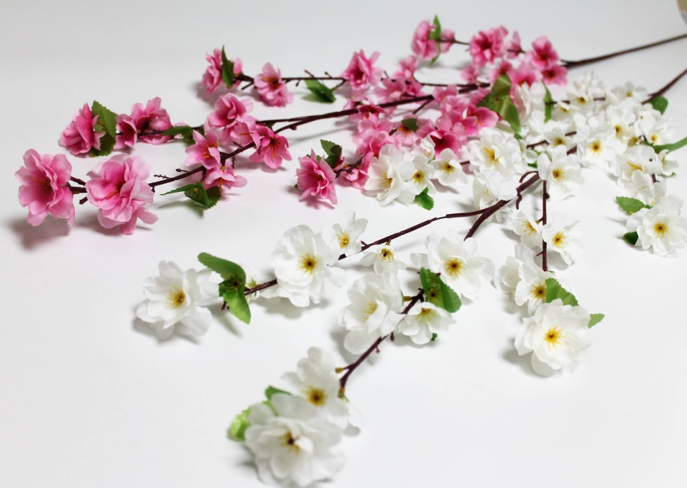 В10444 Б/С Вет.-коряжка сакура японская