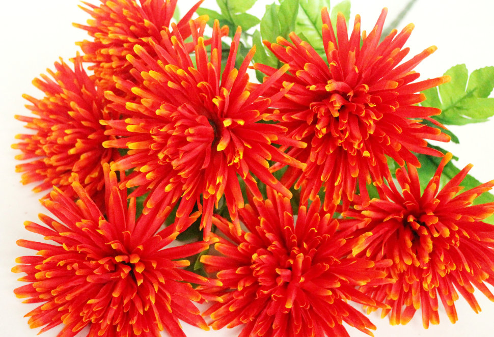 Б7708 Б/С Бук.хризантем игол.