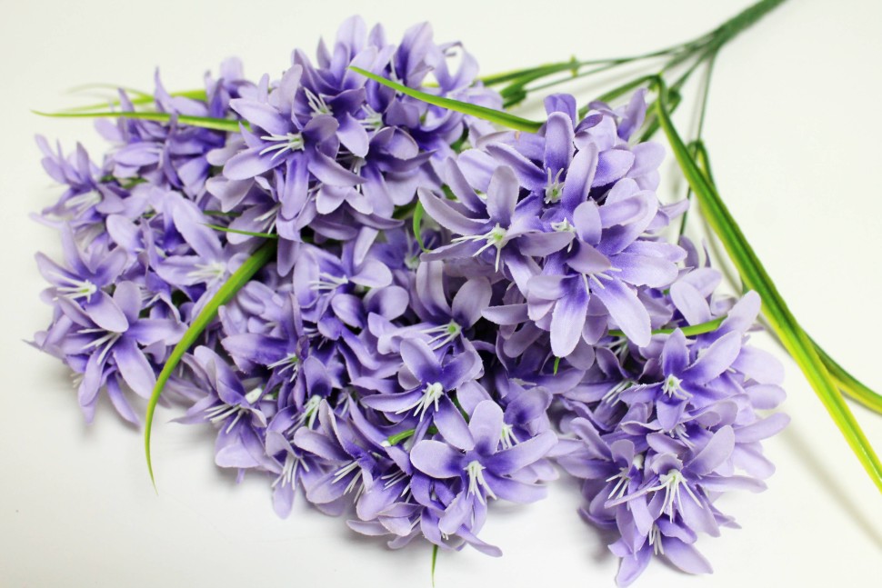 Б12123 Б/С Букет гиацинт 7голов