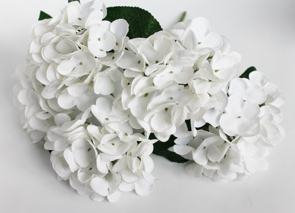 Б11616 Б/С Бук.гортензии по расцветкам латекс 3D