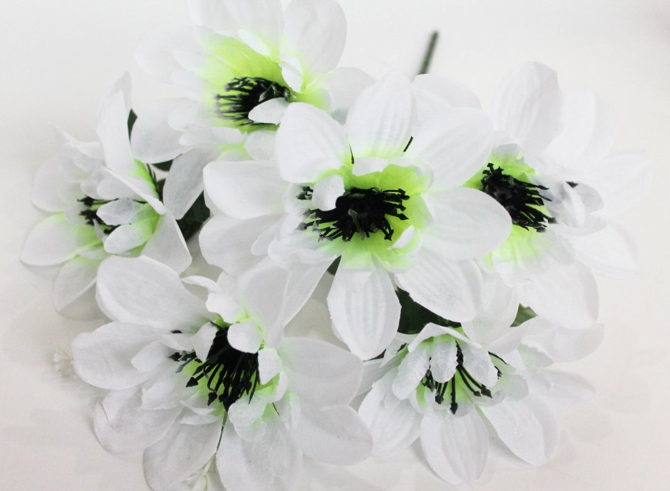 Б11954 Б/С Букет георгин 6гол.