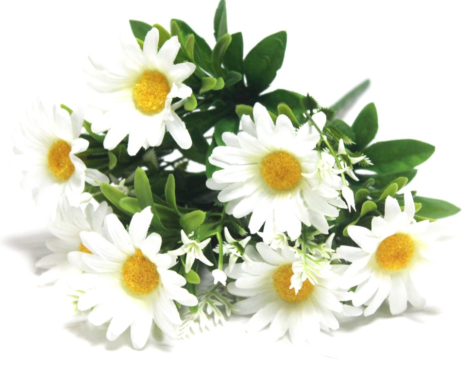 Б12197 Букет ромашки пушистой 7 гол.