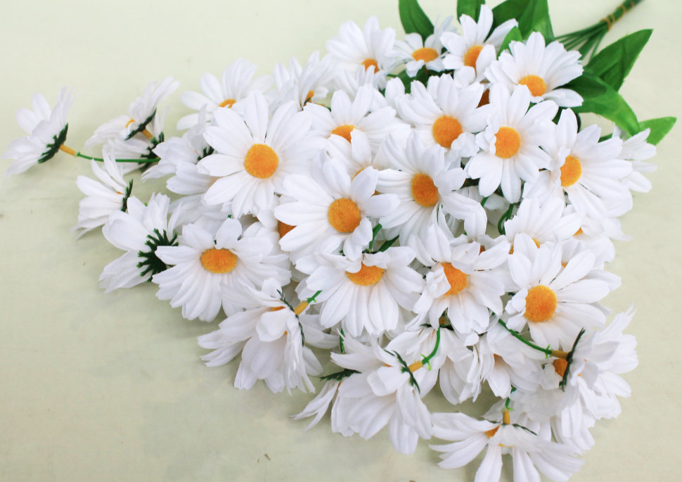 В7922 Вет.6 г.крупных ромашек нивяник Н60см(100шт)