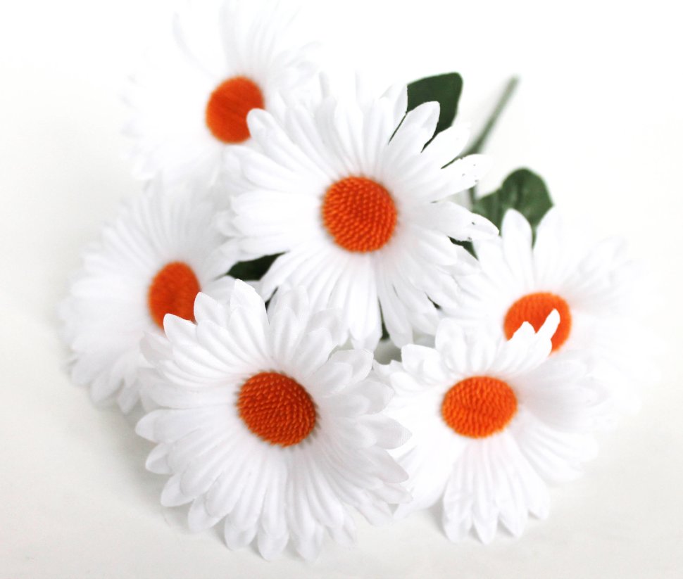 Б11921 Б/С Букет ромашка 6голов