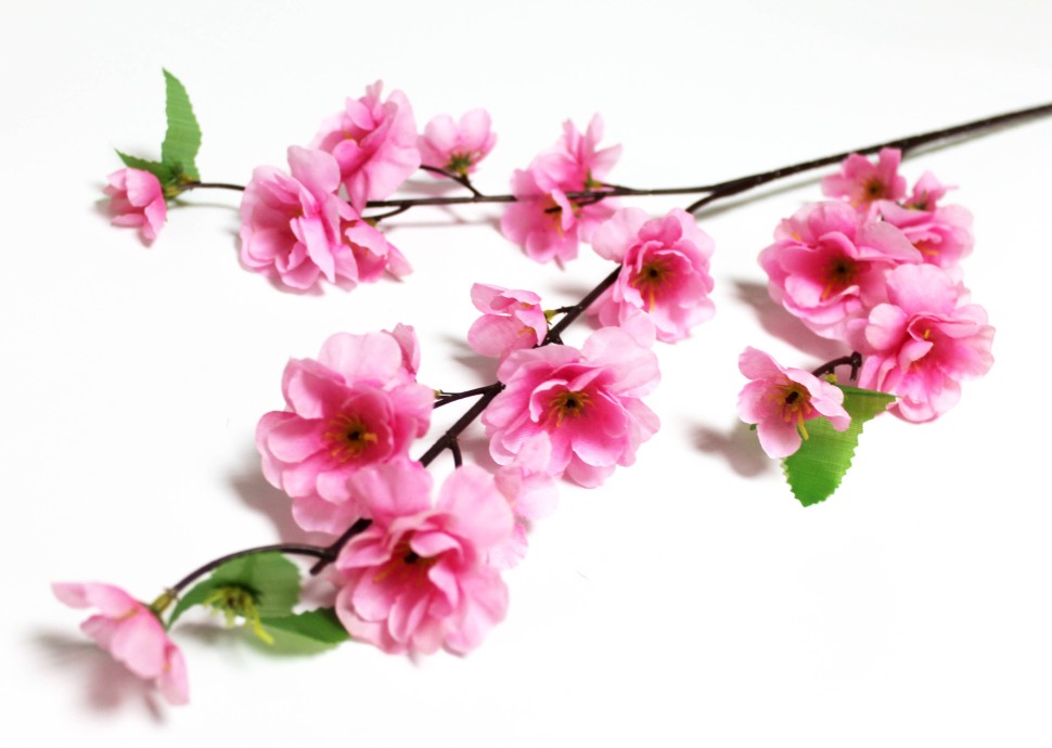 К ВЫКУПУ! В10443 Б/С Ветка-коряжка сакура