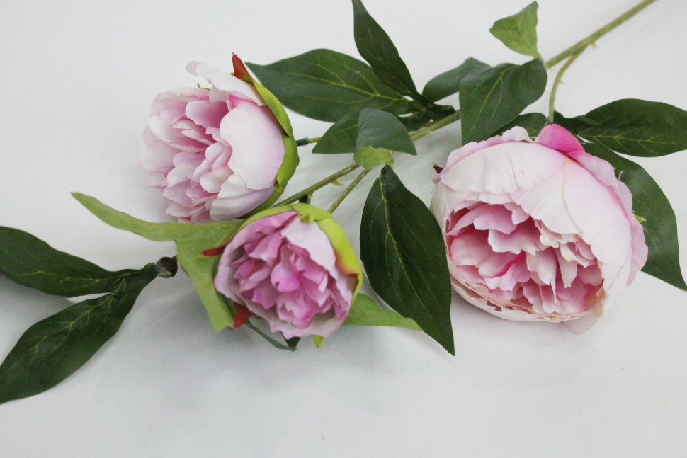 В11619 Б/С Ветка пиона 3 гол.