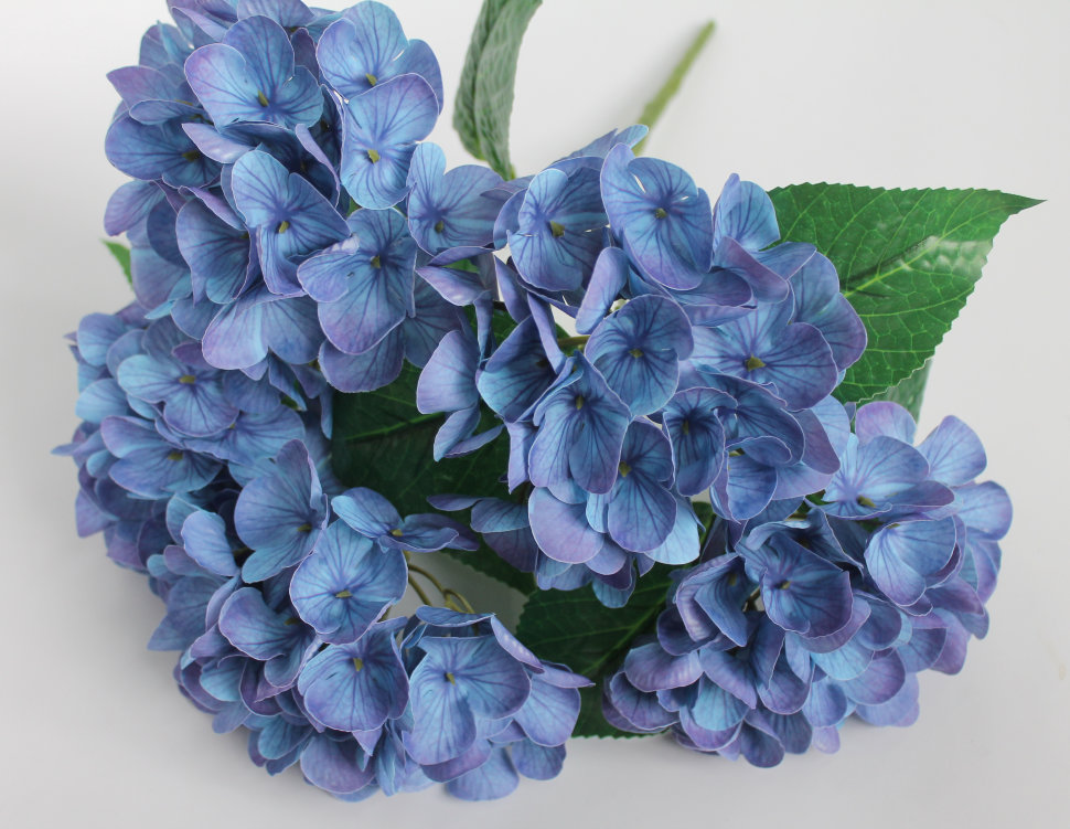 Б11616 Б/С Бук.гортензии по расцветкам латекс 3D