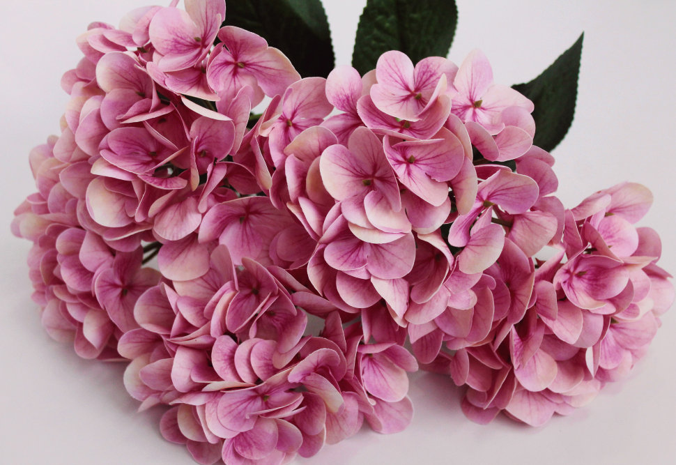 Б11616 Б/С Бук.гортензии по расцветкам латекс 3D