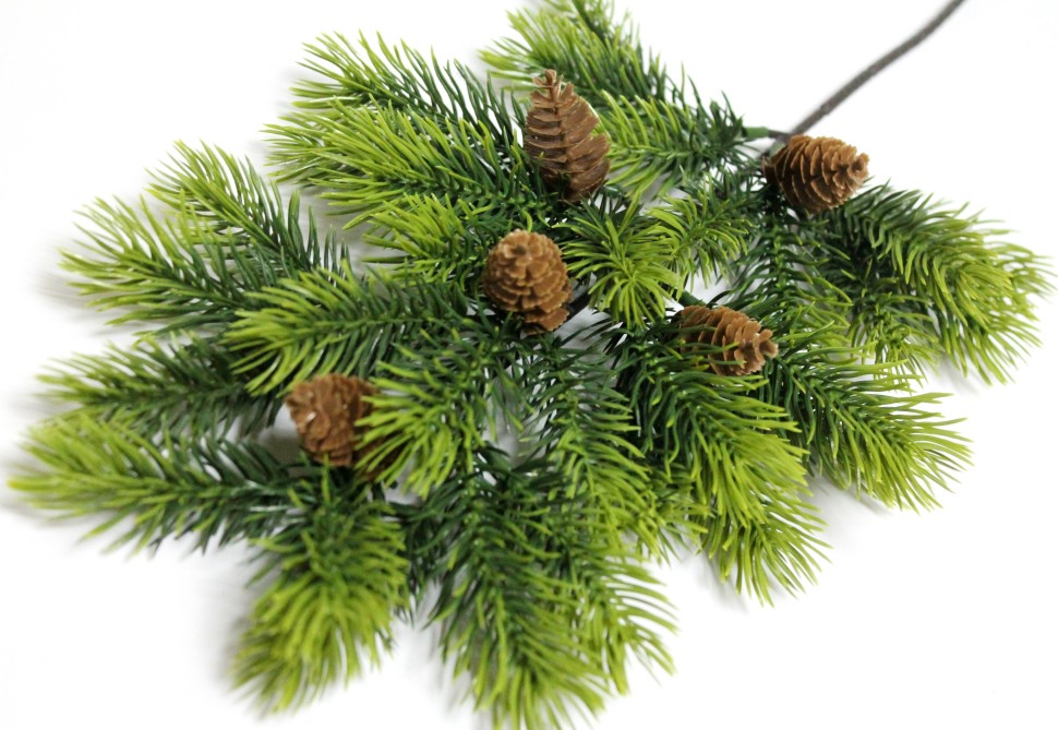 В12045 Б/С Ветка ель 5 шишек