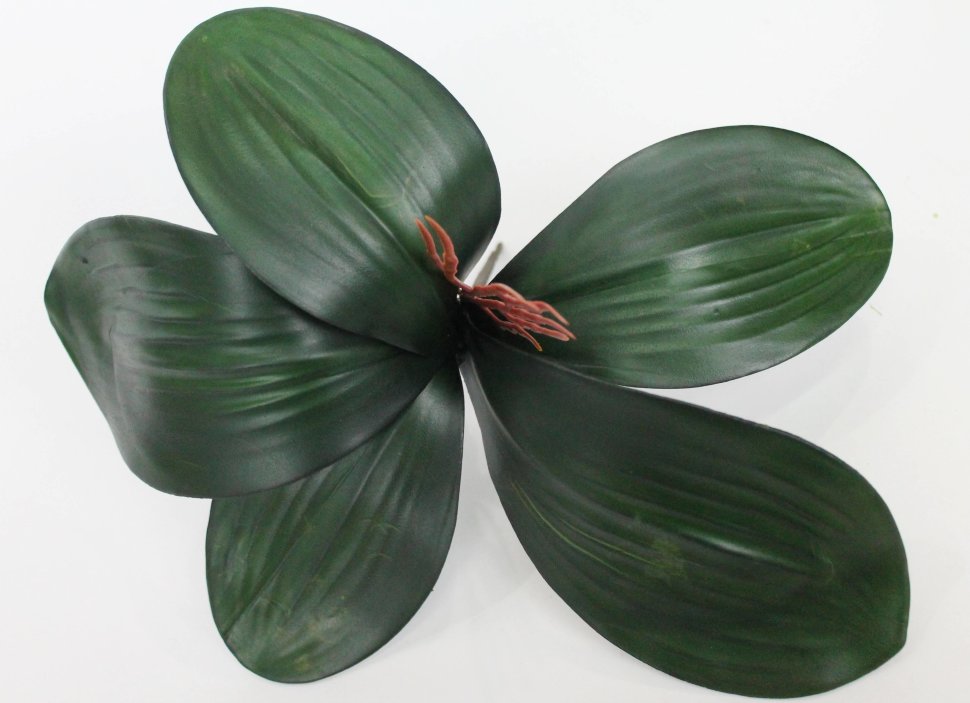 Д9569 Б/С Корешки орхидей Н26см(20шт)