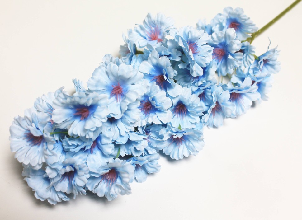 В12127 Б/С Дельфиниум