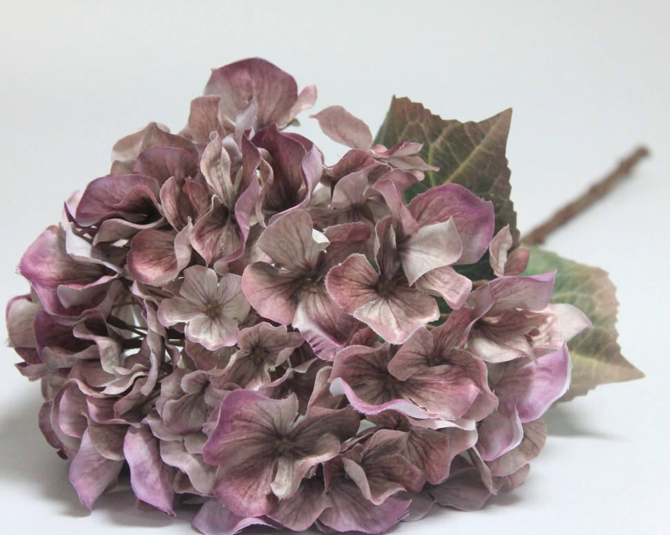 В12172 Б/С Гортензия древовидная Эко Пинк Паф 70см(3шт)