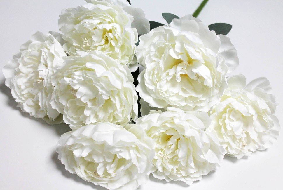 Б12146 Б/С Букет пион 7 крупных голов