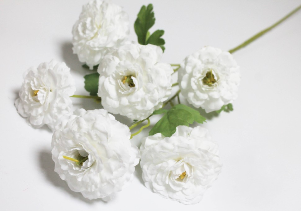 К ВЫКУПУ 2 РЯДА! В12046 Б/С Ветка 6 голов георгина Уайт Астер высокий 83см