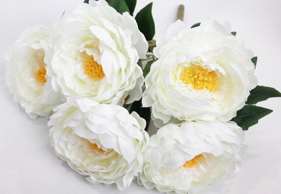 Б11906 Б/С Куст крупных пионов