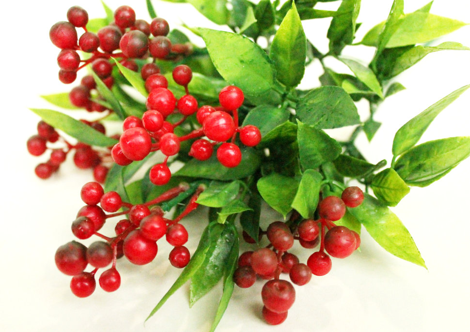 Б9288 Б/С Бук.боярышник красный 5г.Н36см(10шт)