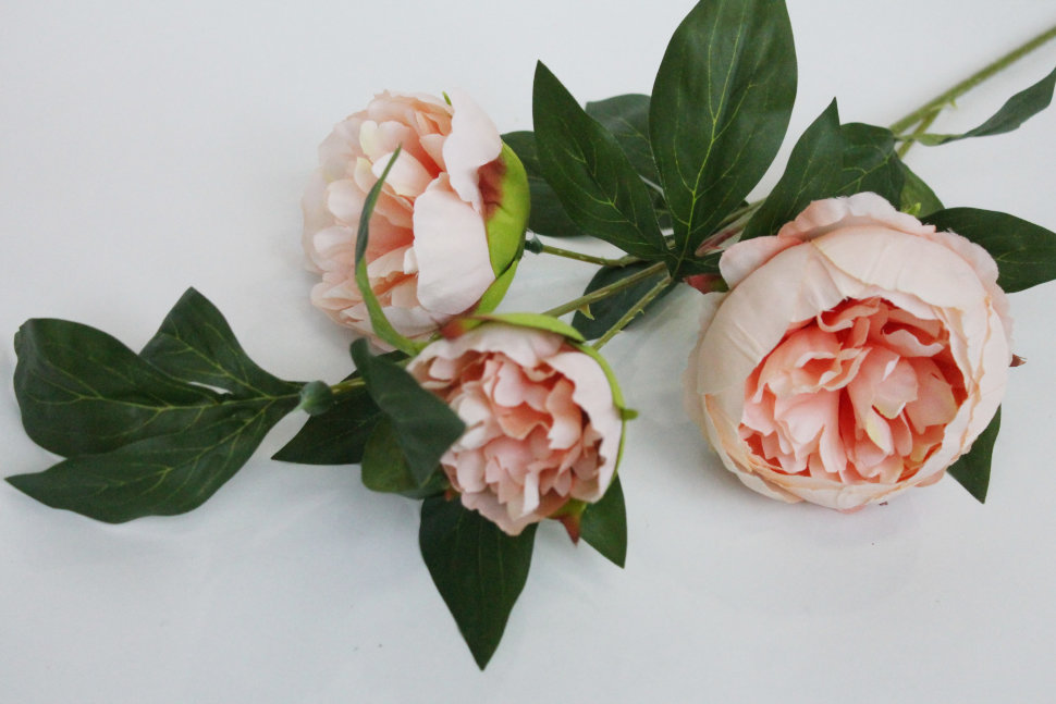 В11619 Б/С Ветка пиона 3 гол.