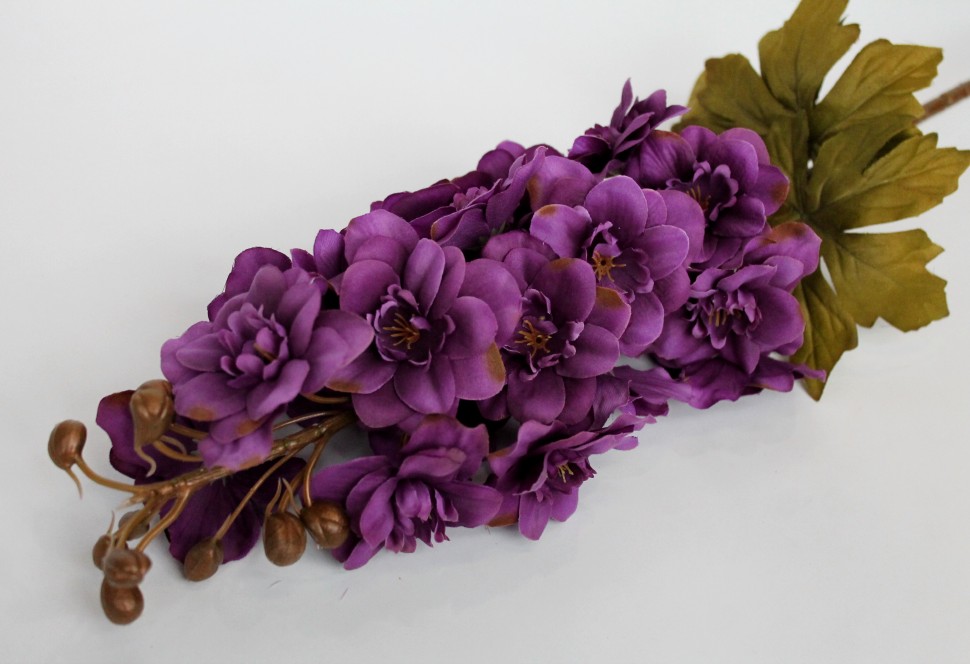 О10324 Б/С Дельфиниум гибридн.