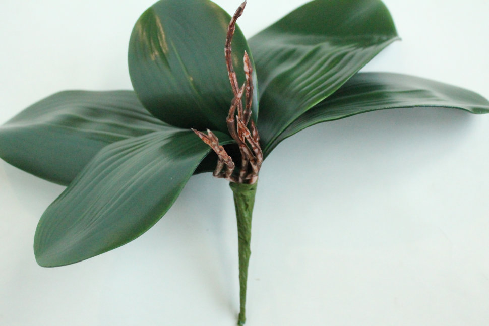 Д11252 Б/С Корешки орх.3 крупных+2средних л.Н35см(10шт)