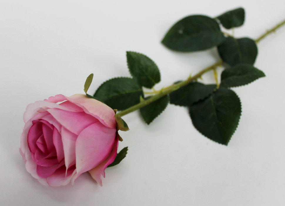 О11496 Роза одиночная многосл.