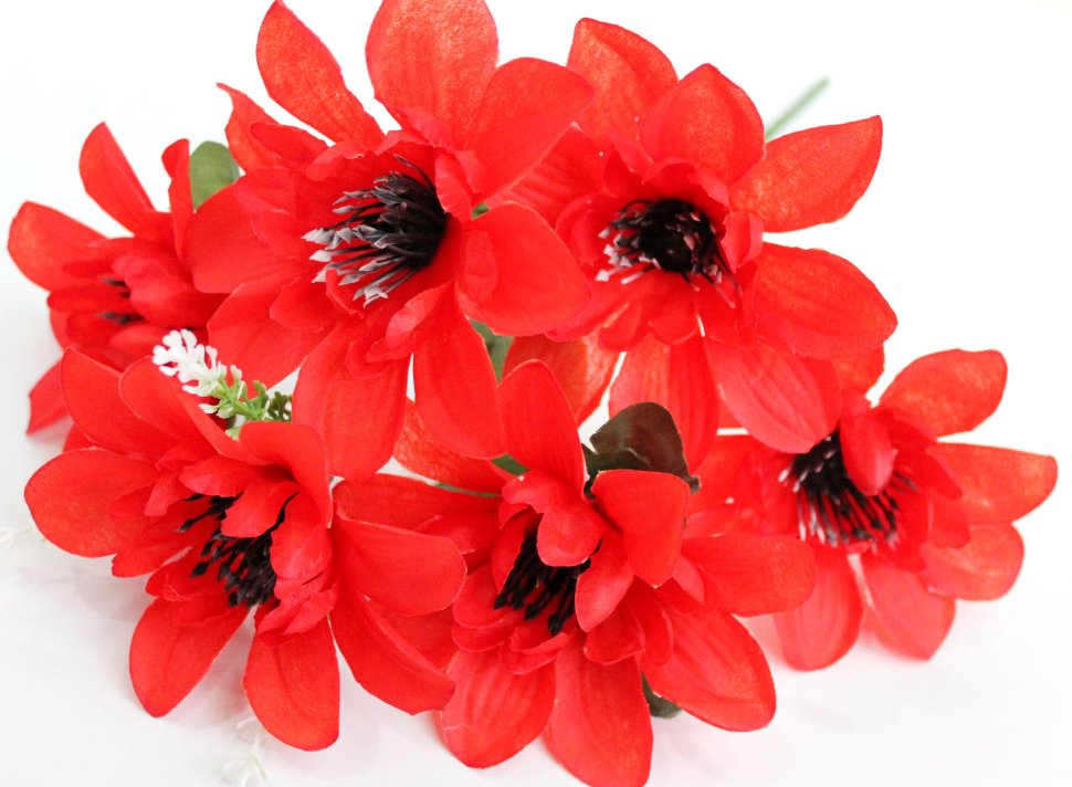 Б11954 Б/С Букет георгин 6гол.