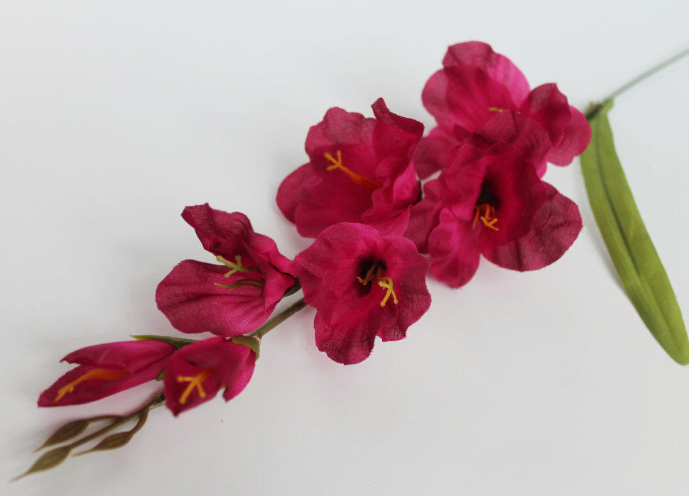 В11253 Б/С Вет.гладиолуса