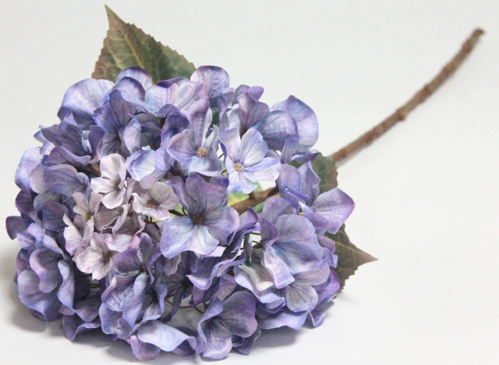 В12172 Б/С Гортензия древовидная Эко Пинк Паф 70см(3шт)