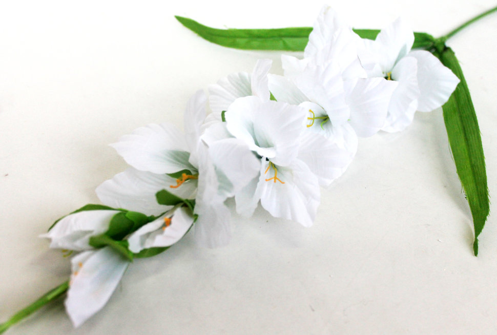 О540 Б/С Гладиолус Чжунь Янь Н80см(10шт)