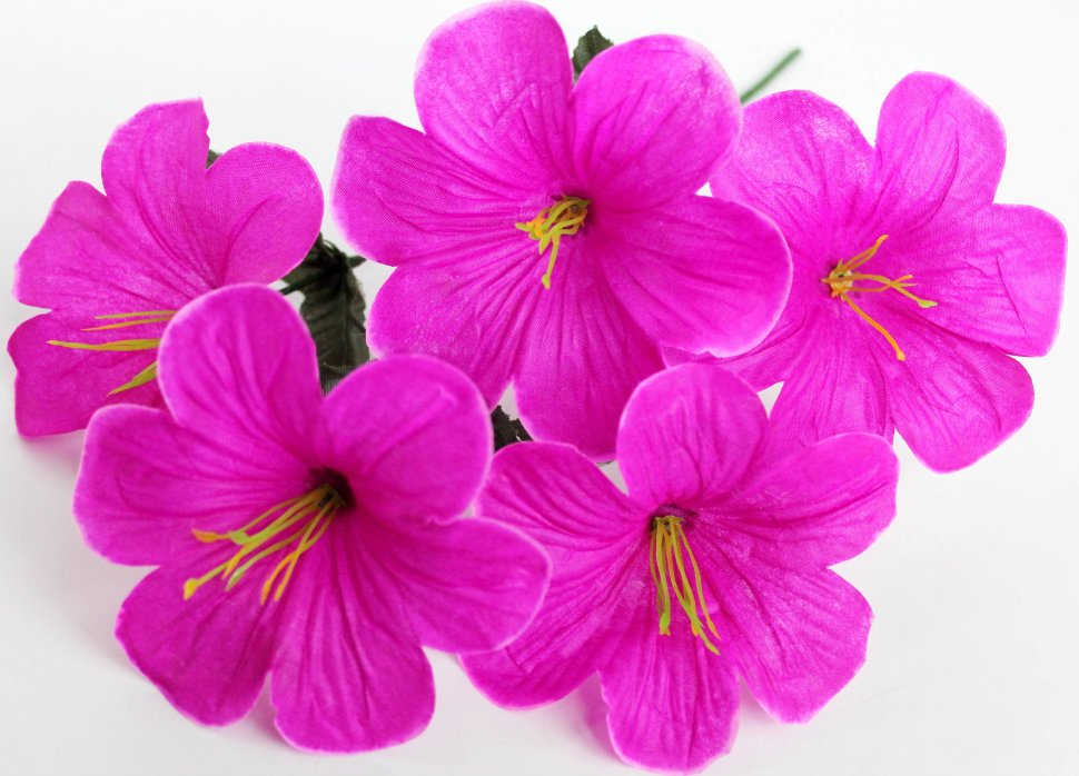 Б11995 Букет колокольчик 5г.