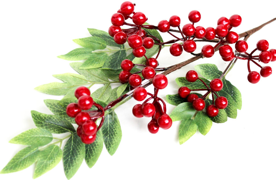 В11159 Б/С Вет.вишни урожайная Н78см(2шт)