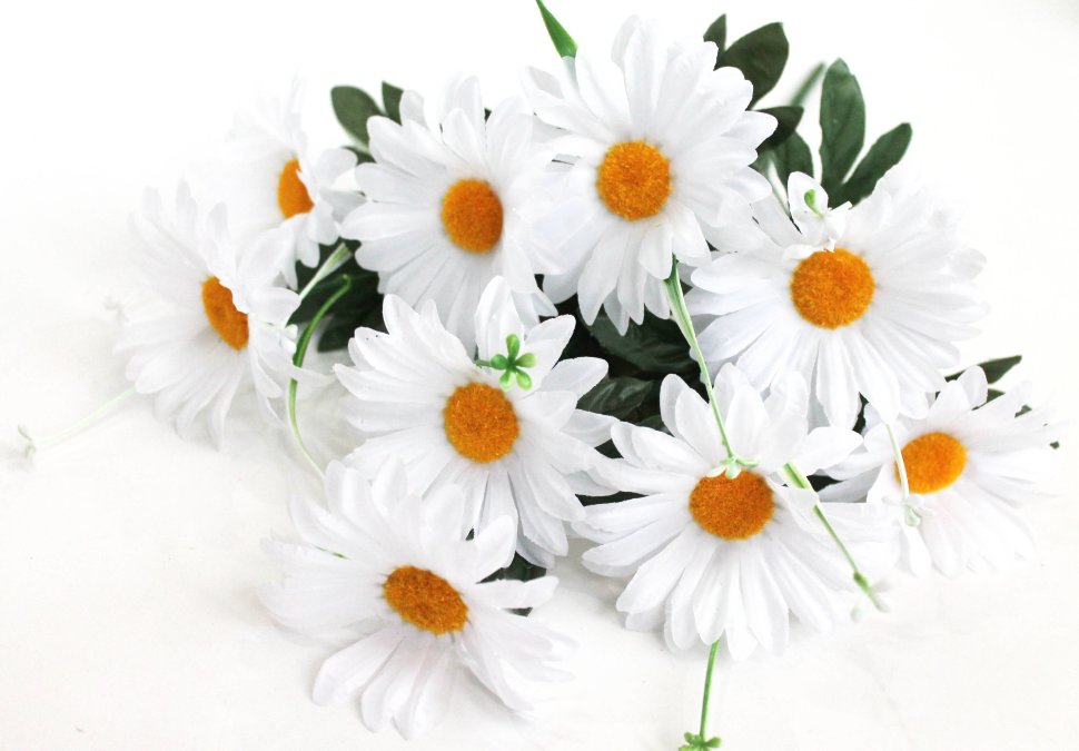 Б11892 Букет ромашка пахучая с добавк.9г.53см(20шт)