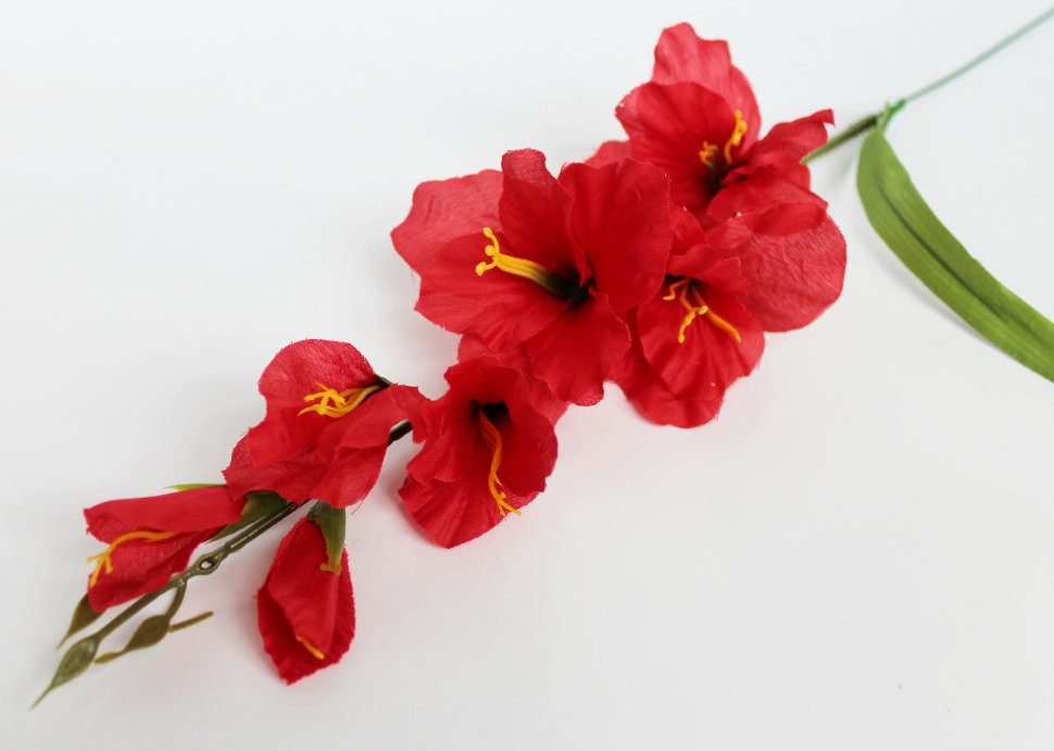 В11253 Б/С Вет.гладиолуса