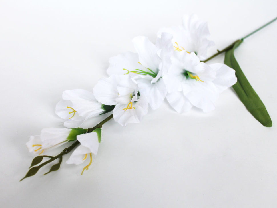 В11253 Б/С Вет.гладиолуса