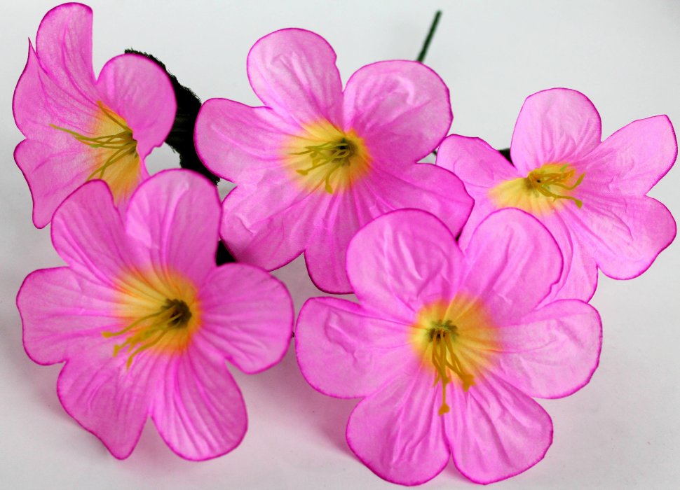 Б11995 Букет колокольчик 5г.