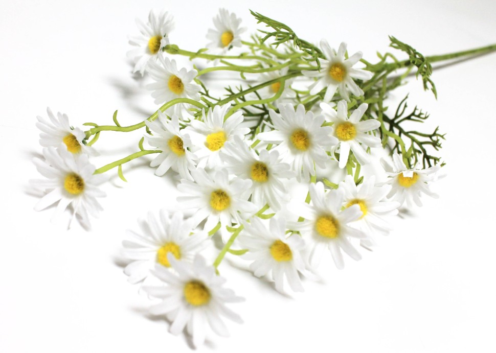 В12135 Б/С Ветка ромашка натуральная 20 голов 5 веток H76см(5шт)