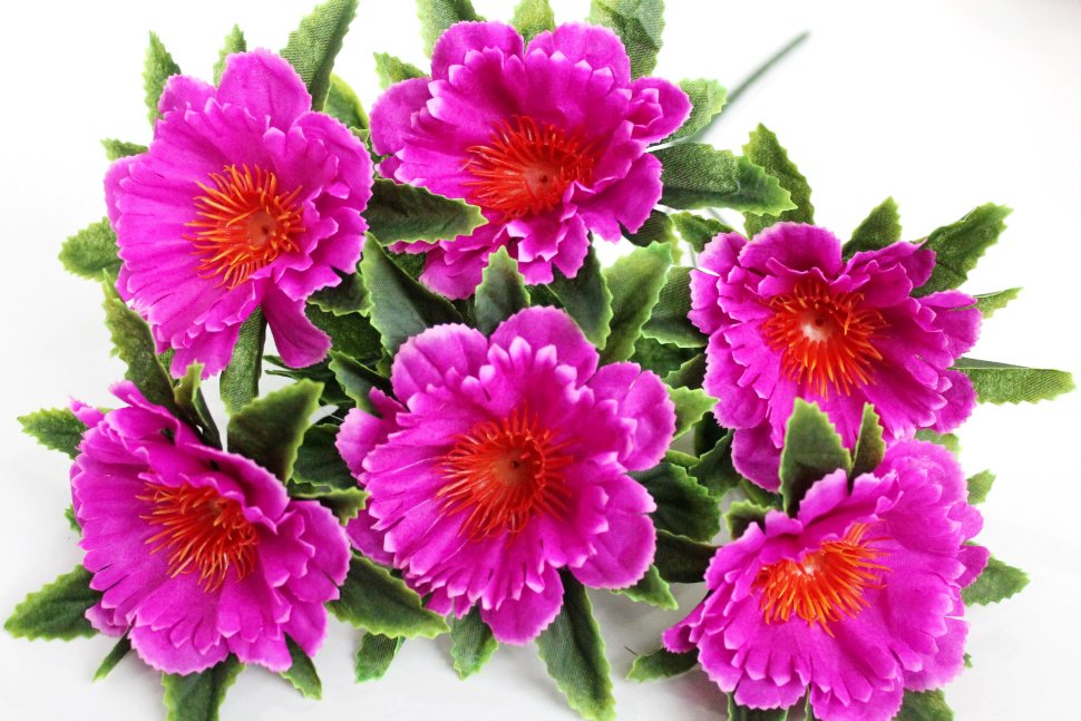 Б11956 Букет георгин 6 гол.