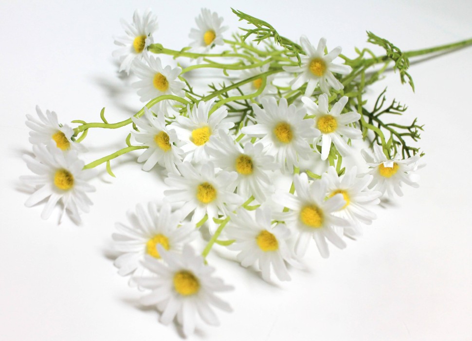 В12135 Б/С Ветка ромашка натуральная 20 голов 5 веток H76см(5шт)