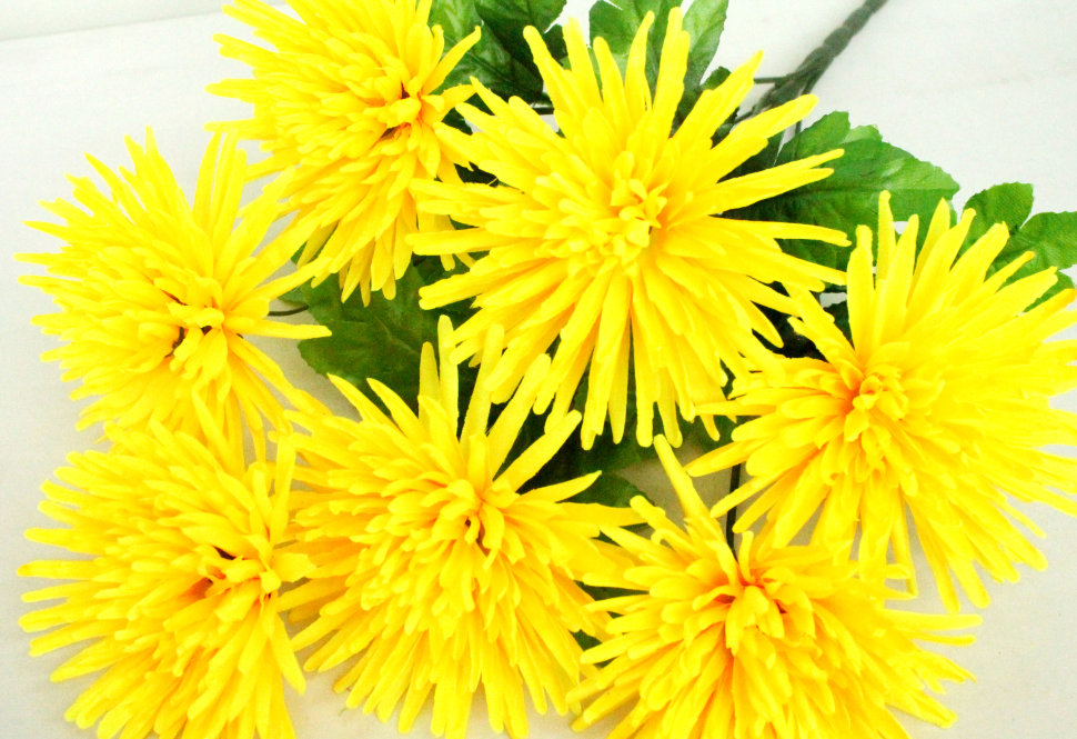 Б7708 Б/С Бук.хризантем игол.