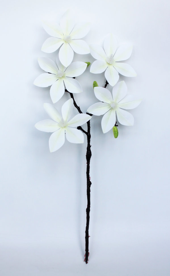 В11796 Б/С Магнолия латекс реликтовая