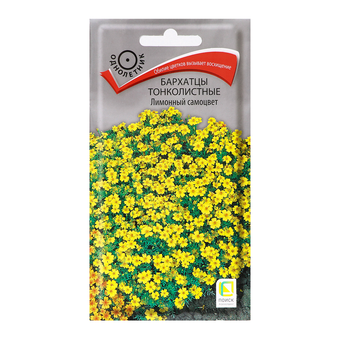 Семена цветов Бархатцы тонколистные «Лимонный самоцвет», 0.1 г, «Поиск»