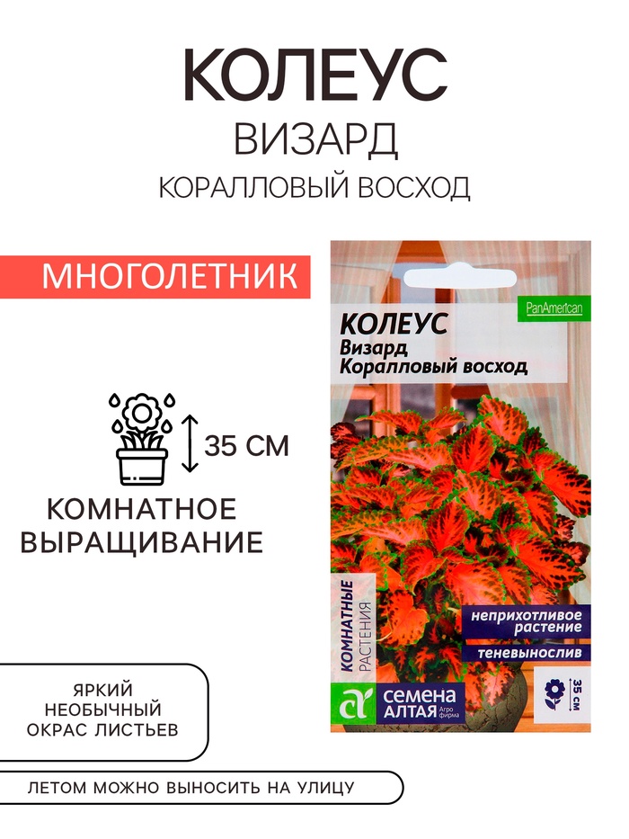 Семена комнатных цветов Колеус