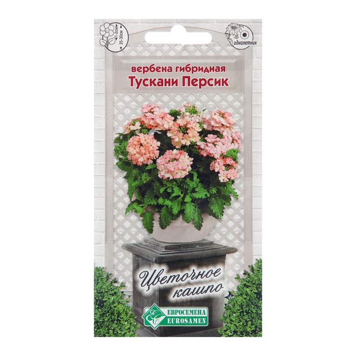 Семена цветов Вербена гибридная